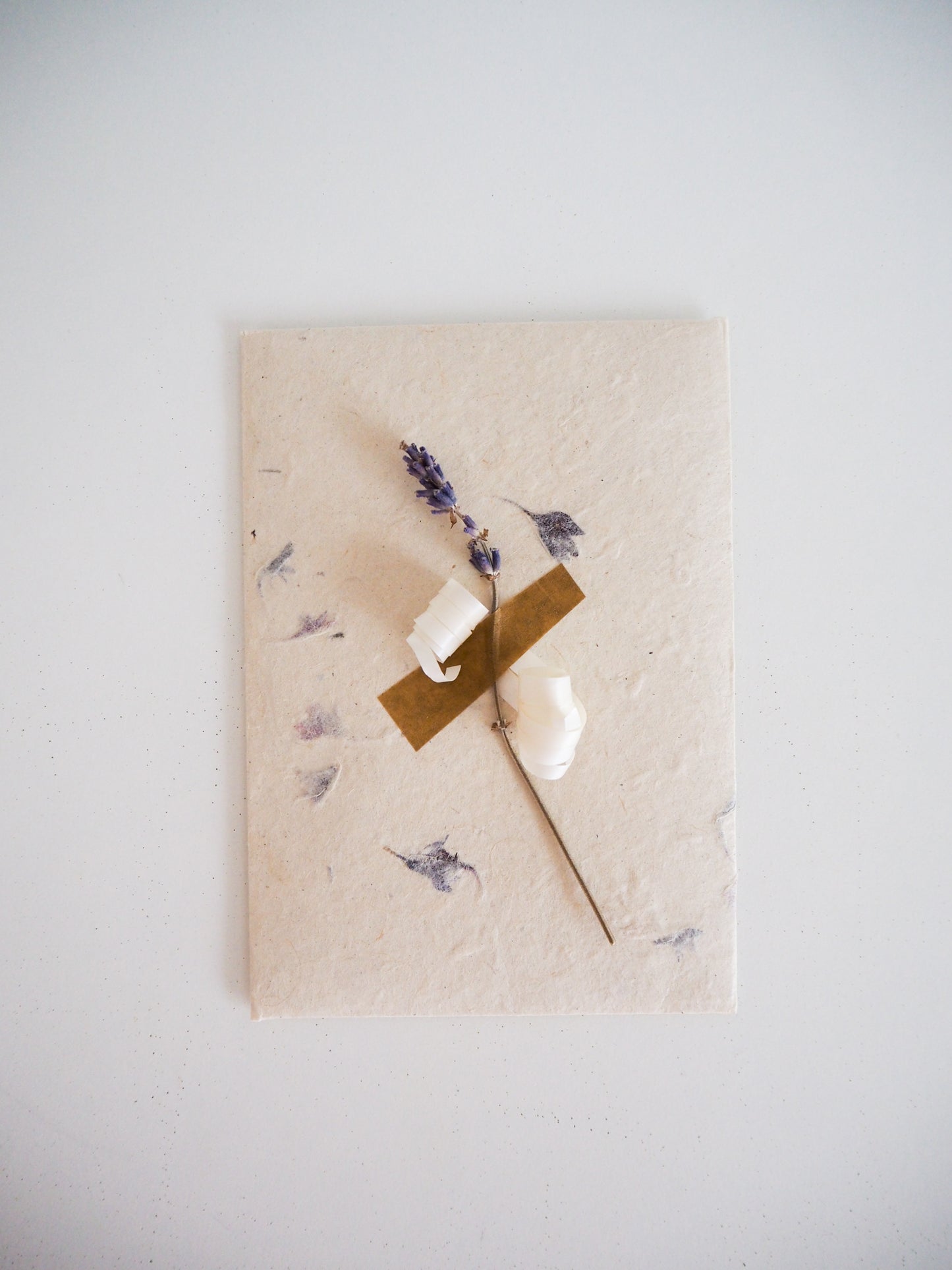 Laoise Carey Studio Paper Gift Voucher